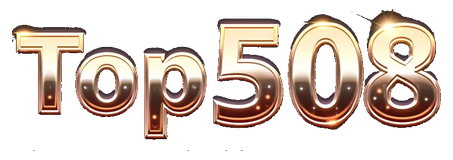 top508 logo